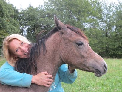 Prezaj F - Tibet x Pokupka (Drug) bred by Faber Arabians