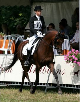 Tibet DE - Kubinec x Nikita (Narav Ibn Aswan)